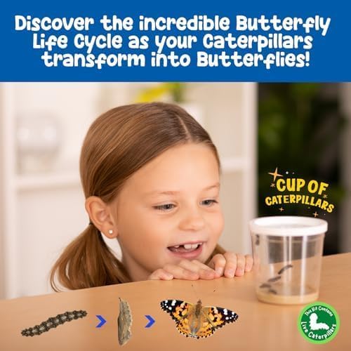 Insect Lore Butterfly Farm™ | Butterfly Kit with Live Cup of Caterpillars | 5 Caterpillars, Reusable Habitat, STEM Butterfly Journal & More