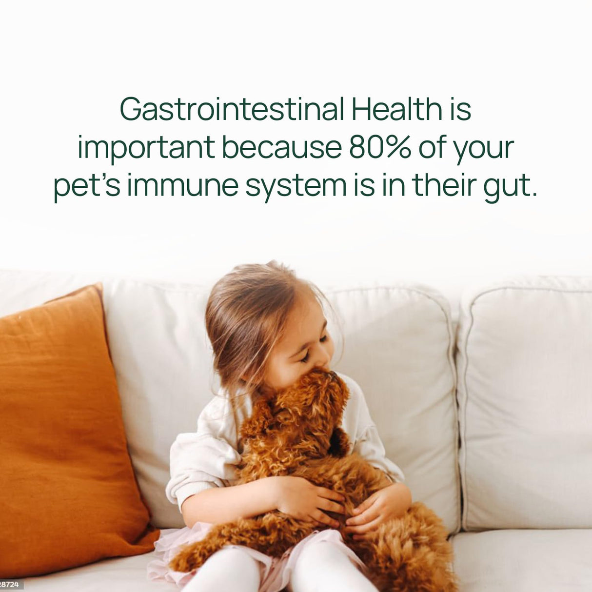 pawTree Gastro Pro Plus® for Dogs and Cats - Probiotics, Prebiotics and Digestive Enzymes - for Sensitive Stomach, Digestive Issues, Loose Stool, and Bad Gas (30 ct)