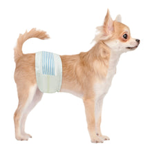 Load image into Gallery viewer, BV Dog Diapers Male X-Small (Waist 9-14 in) Super Absorbent - 50 Count Disposable - Doggie Diapers with Wetness Indicator - Adjustable Male Dog Wraps - Ideal for Incontinence/Training