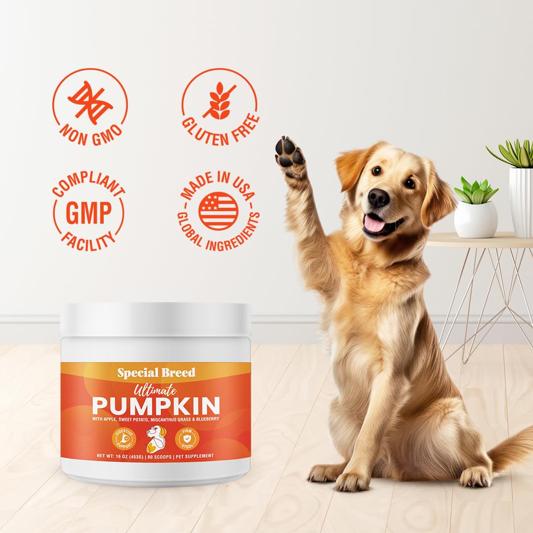 Ultimate Pumpkin for Dogs (16 oz) - with Organic Pumpkin, Apple, Sweet Potato, Miscanthus Grass & Blueberry, Digestive Support Relief for Constipation, Loose Stools, and Upset Stomaches, 60 Scoops
