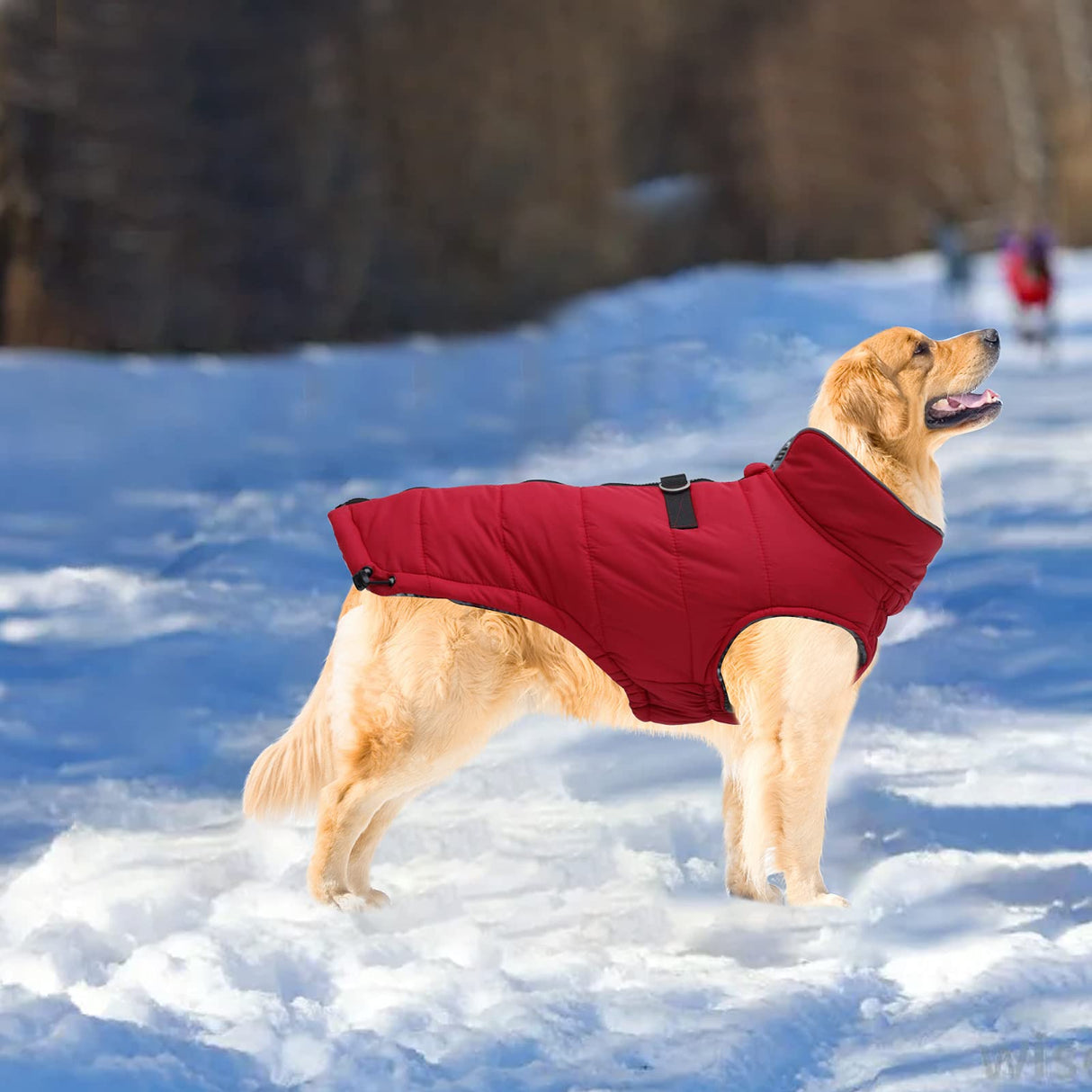 Geyecete Dog Winter Warm Coat Dogs Winter Jacket Windproof Snowproof,Pet Outdoor Jackets Dog Jacket for Small Medium Large Dogs-Red-M