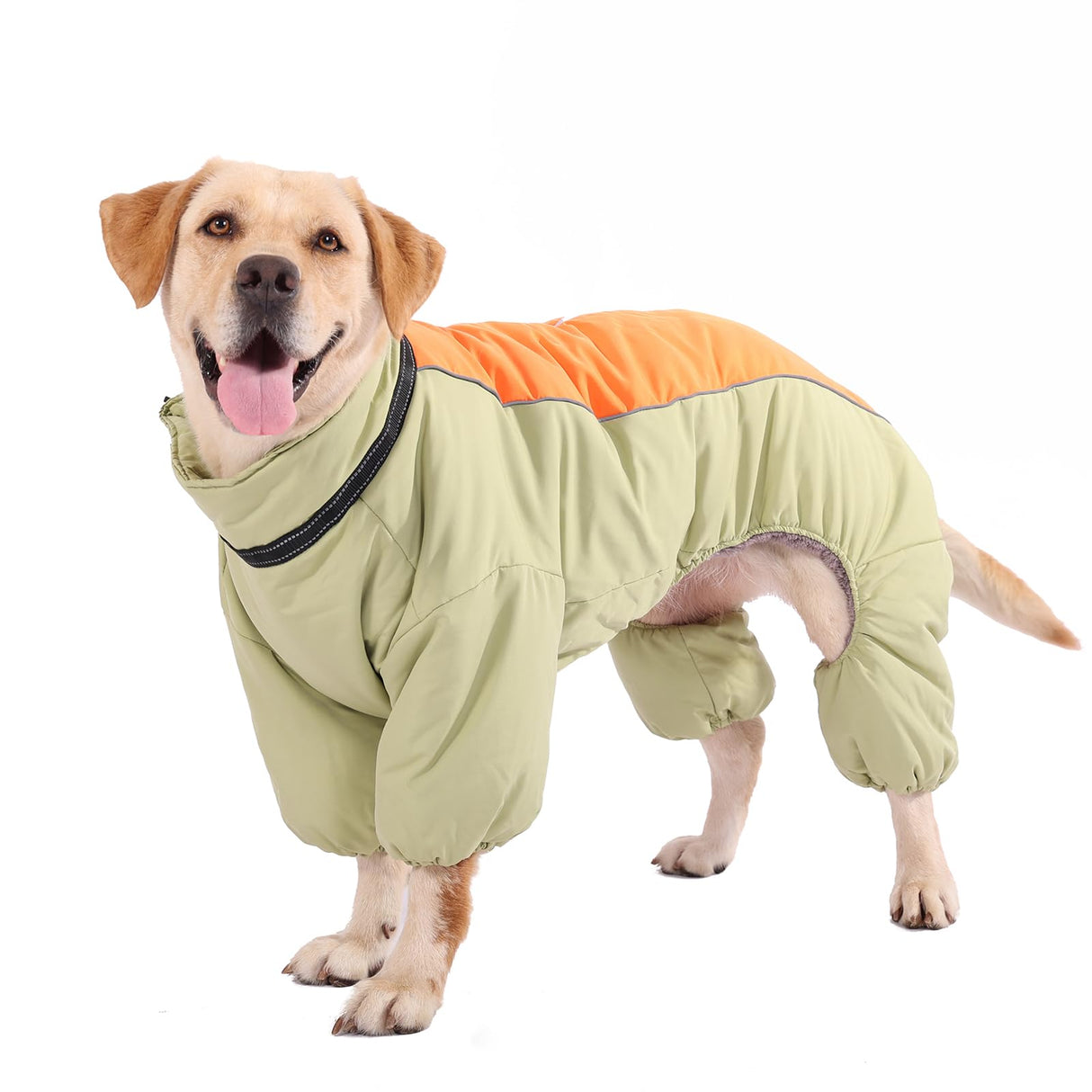 Toasty Warm 4-Legged Dog Snowsuit with Leash Ring, Reflective Zip Up Dog Winter Coat, Windproof Fleece Lining Dog Jumpsuit Jacket, LightGreen,12