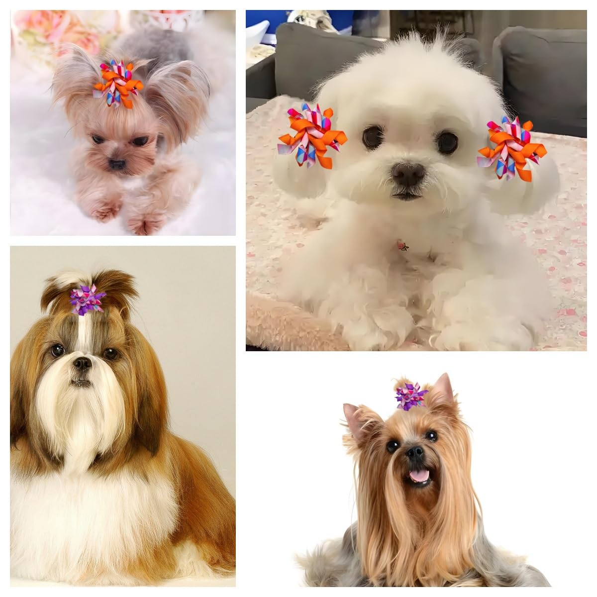 Tnasa 13 Pairs Elastic Dog Hair Bows with Rubber Bands Small Medium Dogs Pet Spiral Puppy Swirl Topknot Cat Festival Hair Accessories (Holiday Assorted)