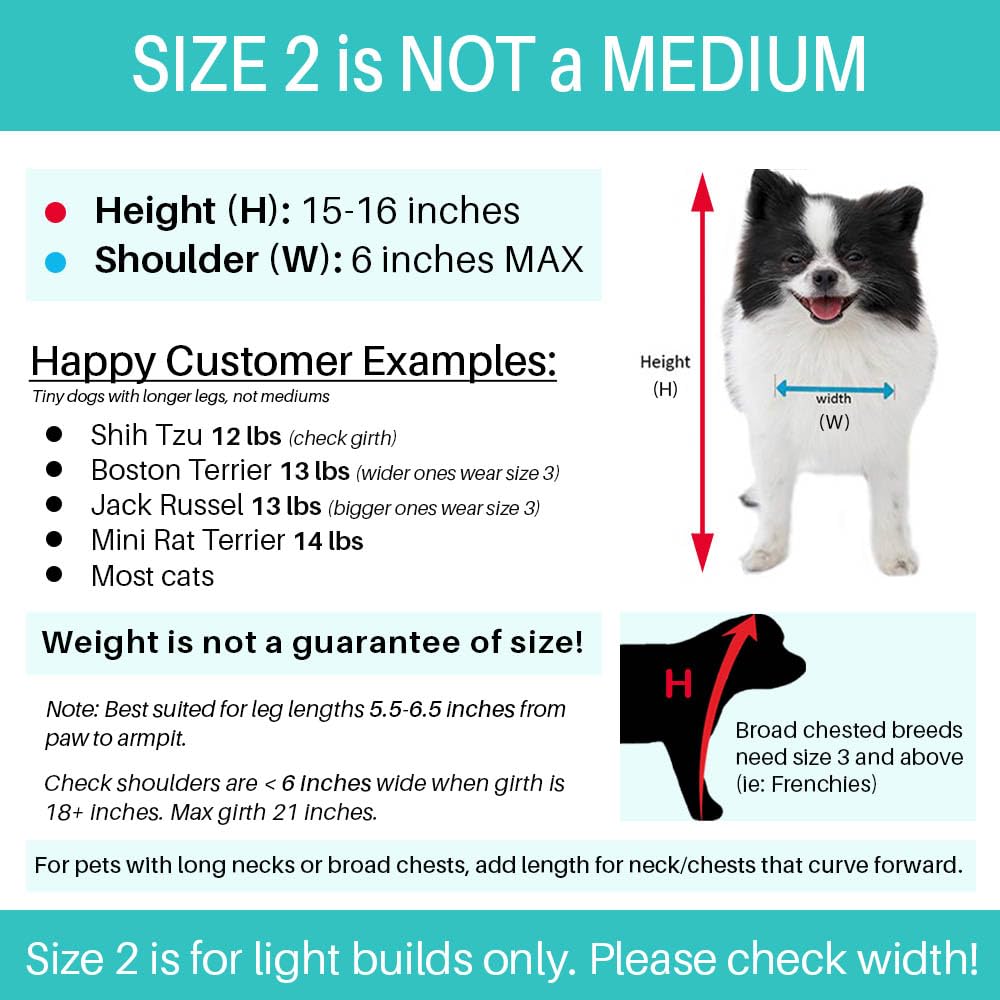 Pandaloon Dog Halloween Costume - As Seen on Shark Tank - Patented - Funny Costume with Arms for Small and Medium Dogs and Cats (Bunny, Size 2(15-16 in Height at TOP of Head,Girth<16 in))