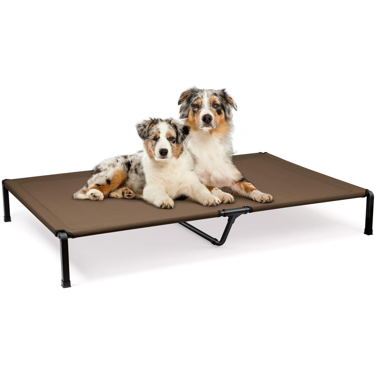 Heeyoo Elevated Dog Bed, Cooling Raised Pet Cot with Chew Proof Mesh Fabric and Steel Frame, Portable Dog Cot Bed with No-Slip Rubber Feet for Outdoor Indoor Use