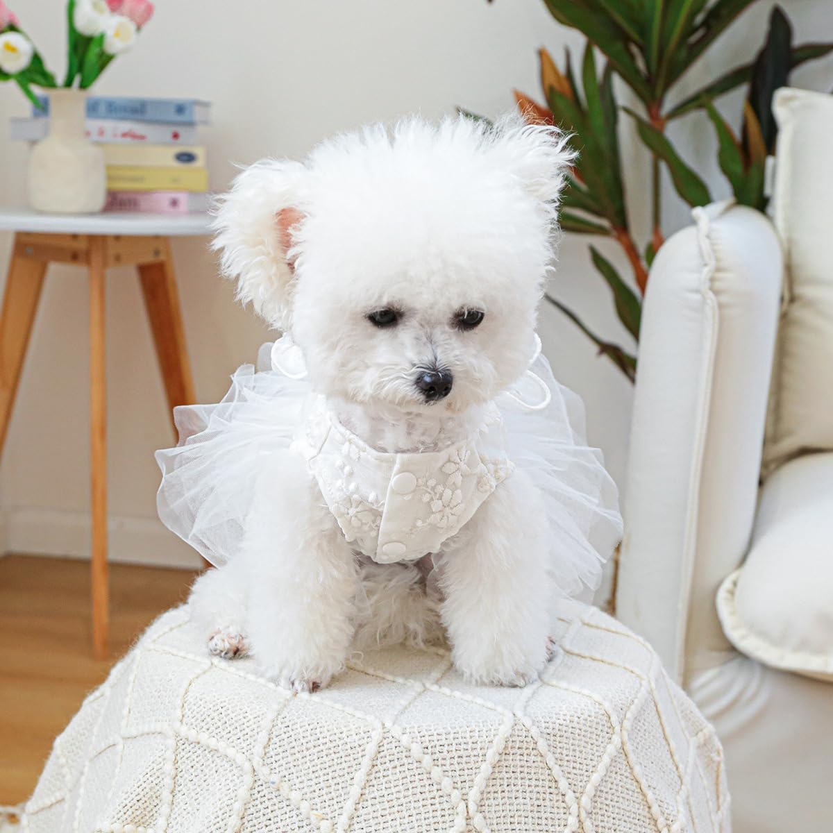 Furbabycare Autumn Winter Fashion Sweet Puppy Dog Blingbling Princess Skirt Dress for Small, Extra Small Dogs - White, Floral, Polyester Blend, XS (Chest:11.0" Body Length:7.0")