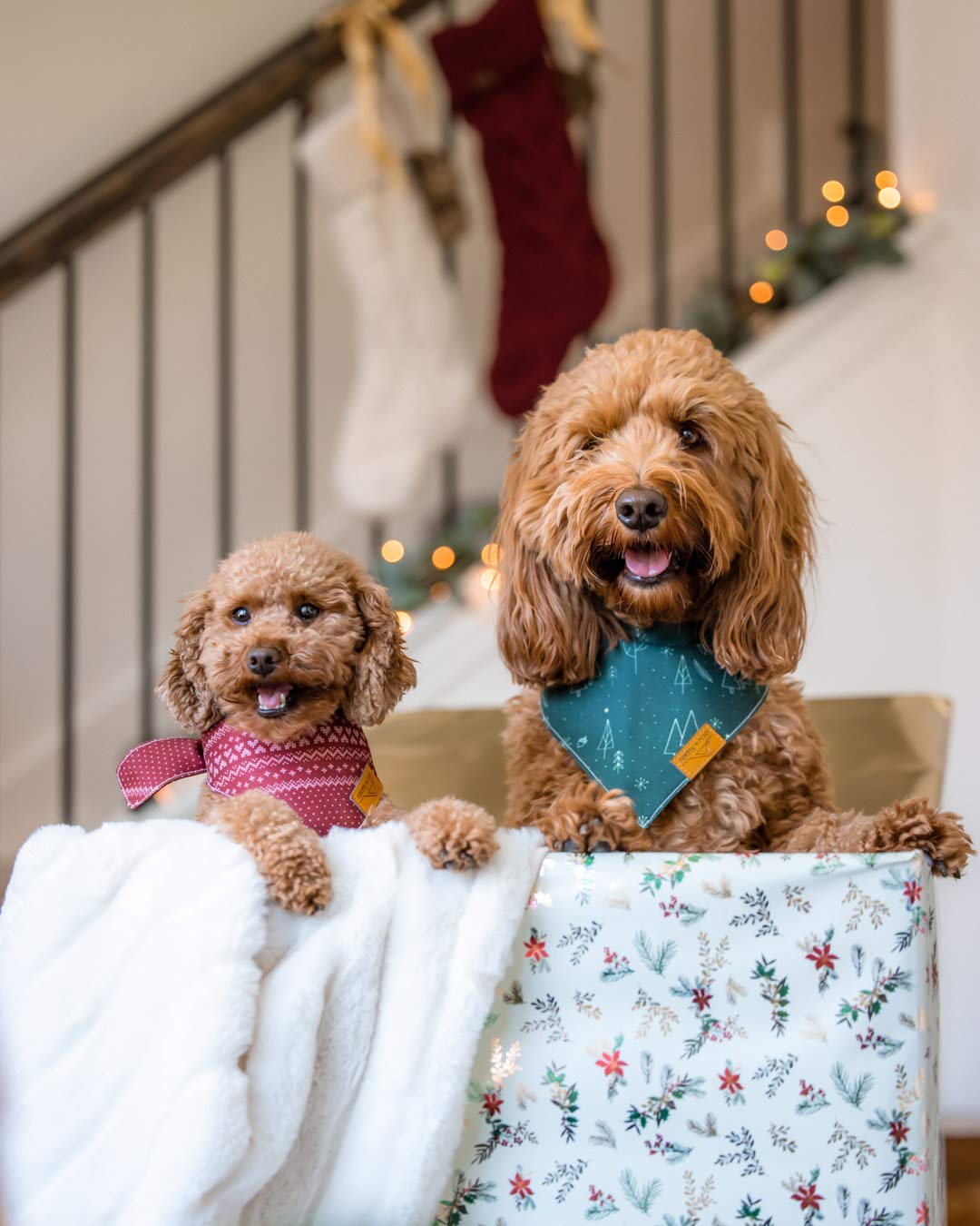 Remy+Roo Dog Bandanas - 2 Pack | Evergreen Christmas Dog Bandanas Set | Premium Durable Fabric | Patented Shape Bandanas for Dogs | Adjustable Fit | Multiple Sizes Offered