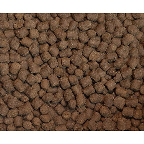 Wysong Ferret Epigen 90 Digestive Support - Dry Ferret Food - 5 Pound Bag(Pack of 1)
