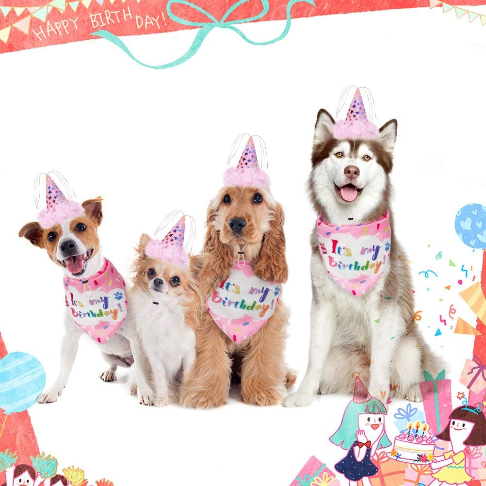 EXPAWLORER Dog Birthday Bandana Set - Cute Hat and Squeaky Cake Toy for Birthday Party Supplies Gift - Great for Small Medium Large Dogs Blue