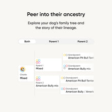 Load image into Gallery viewer, Embark Breed Identification Kit - Most Accurate Dog DNA Testing Kit - 99% Breed Ancestry Accuracy for Mixed Breed Dogs - Plus Relative Finder & Family Tree