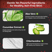 Load image into Gallery viewer, Petazy 2% Chlorhexidine Wipes for Dogs 3X Larger | Yeast Infection Ringworm Fungus Hot Spot Itch Relief | Medicated Antibacterial Antifungal Gentle Soothing Topical Wipes for Dog Cat | 50 Wipes 5x6