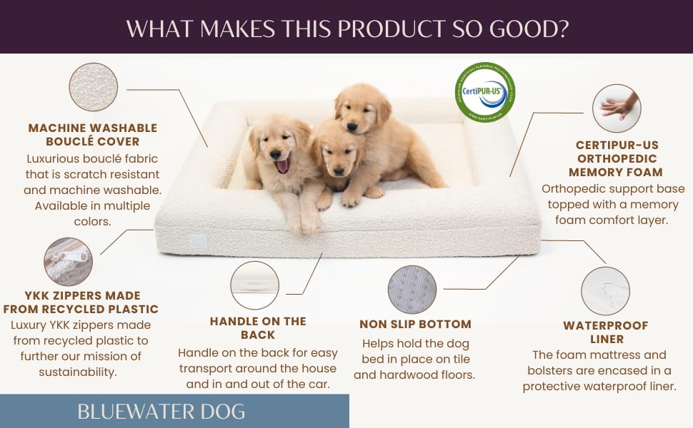 Bluewater Dog Luxury Boucle Orthopedic Memory Foam Dog Bed with Waterproof Liner and Machine Washable Cover with YKK Zippers (Large, 45" L x 36" W x 7" Th, Sand)