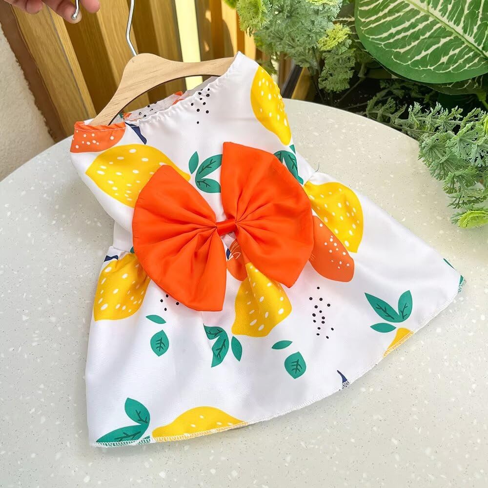Clopon Small Dog Dress Medium Dog Clothes for Girls Bulldog Party Puppies Tutu Dresses for Doggie Winter Apparels M