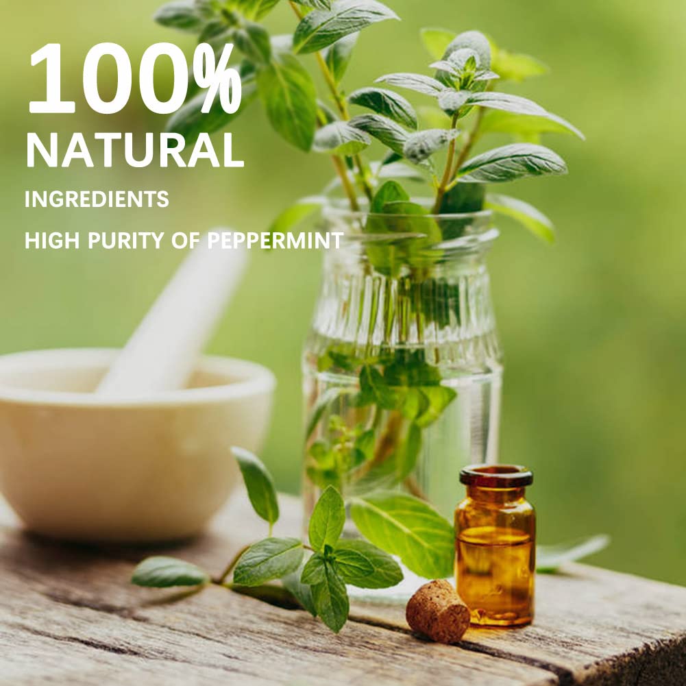 SUAVEC Rodent Repellent, Mice Repellents, Mouse Repellent, Rat Repellent for House, Peppermint Oil to Repel Mice and Rats, RV Rodent Repellant, Keep Mice Away for Indoor, Rat Deterrent-8 Packs