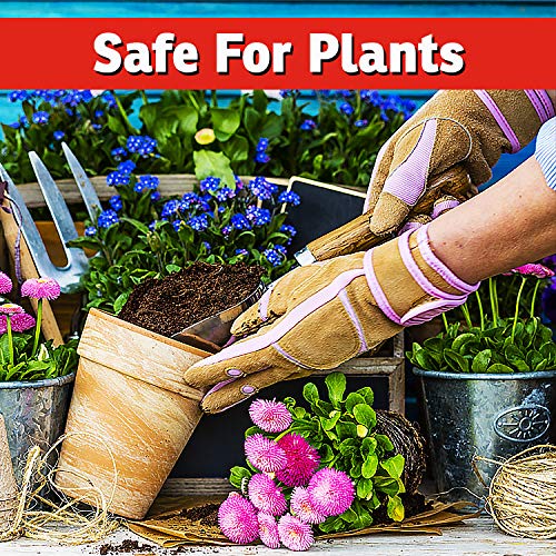 I Must Garden Rabbit Repellent: Mint Scent Rabbit Spray for Plants & Lawns – 32 oz. Ready to Use