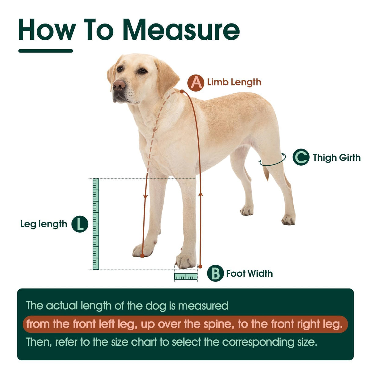 Dog Suspender Boots, Anti-Slip & Fall Waterproof Dog Shoes Leggings, Dog Paw Protector for Small Medium Dogs, Adjustable Dog Boots Pet Shoes for Outdoor Walking