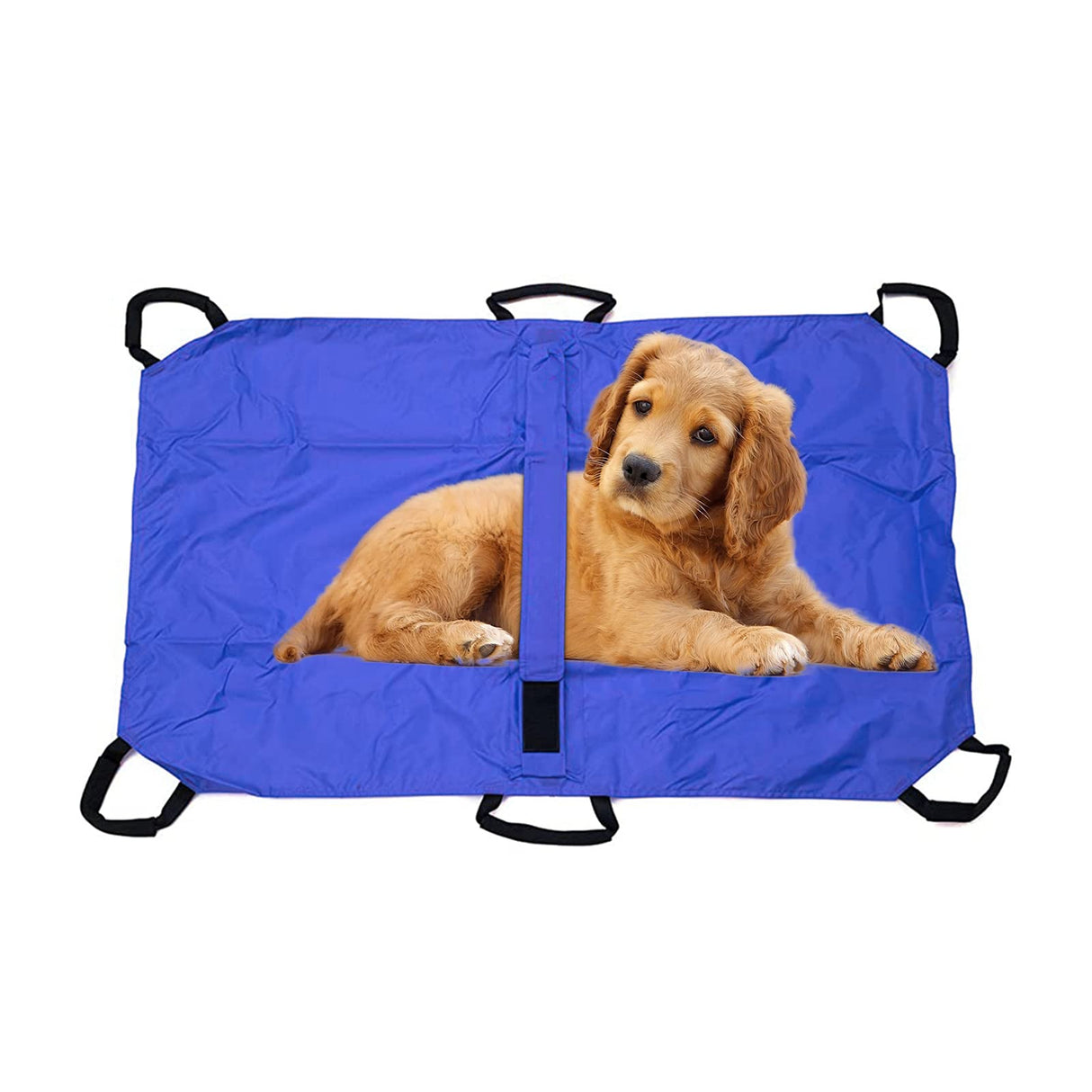 Transport Stretcher for Dogs, Pet Folding Stretcher Emergency Animal Carrier with Safety Strap Max 132 Pound Weight Animal Stretcher for Dogs (Blue)