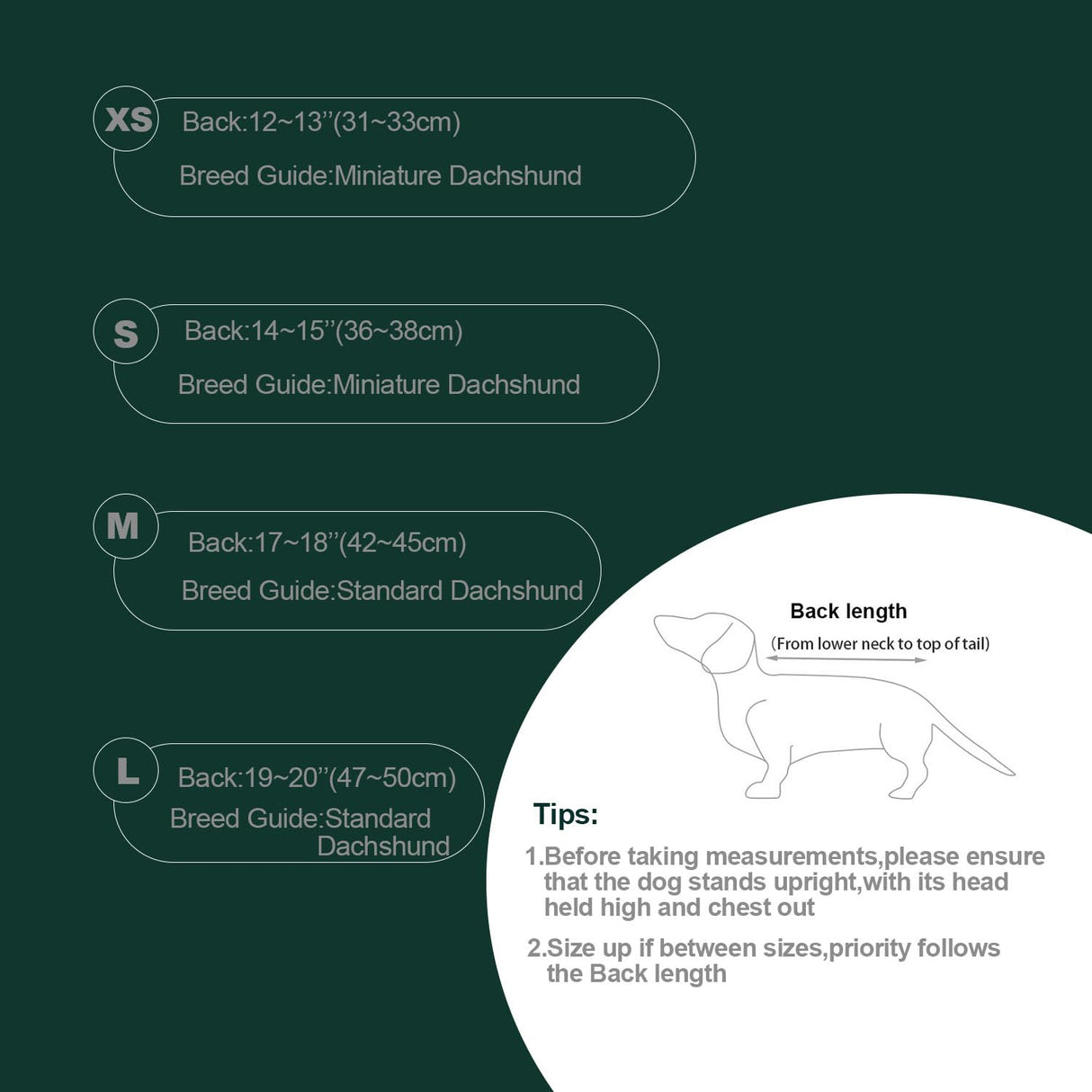 Brabtod Dog Fleece,Soft Dachshund Sweater,Cozy Pet Dog Vest Pullover Jacket with Leash Hole,Miniature Dachshund Clothes for Cold Weather(Red,Medium)