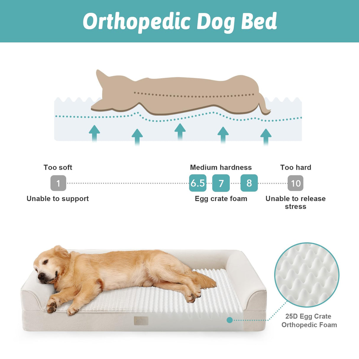 COZY KISS Orthopedic Dog Bed for Small Medium Size Dogs, Bolster Pet Couch with Waterproof Lining, Egg Crate Foam Sofa for Pets Up to 30 lbs, U-Shaped, 30x20x6.5 inch, Beige