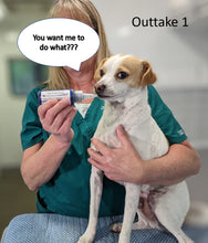 Load image into Gallery viewer, Fetch A Vet Activated Charcoal Gel 60ml EZ Dose Bottle (1-Pack) Pet Emergency First Aid Poison Antidote Treatment