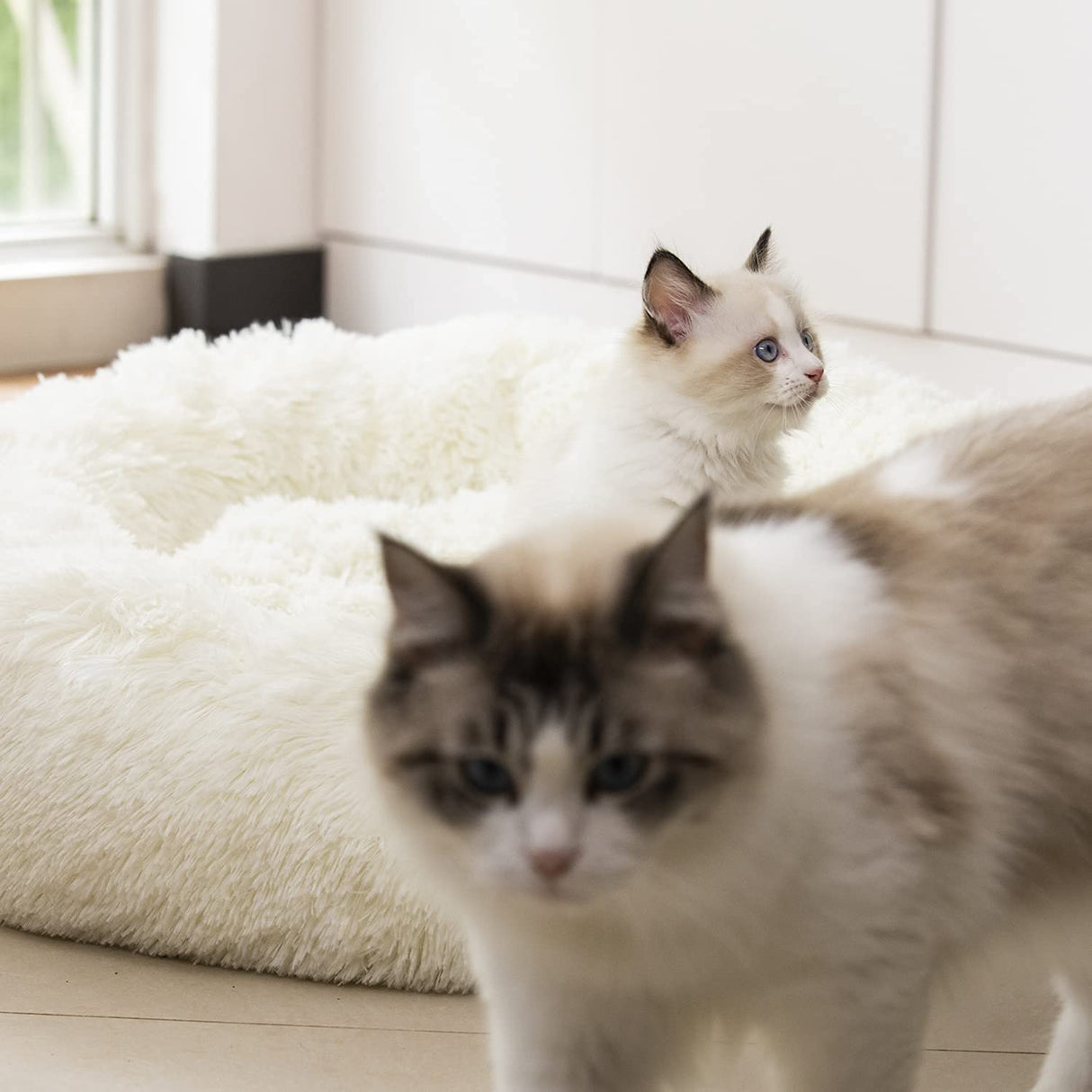 Raimaiso Anti Anxiety Round Fluffy Plush Faux Fur Warm Washable Dog Bed & Cat Bed, Original Bed for Small Medium Large Pets,Used to Relieve Joints and Improve Sleep(20"/24"/27'') (27", White)