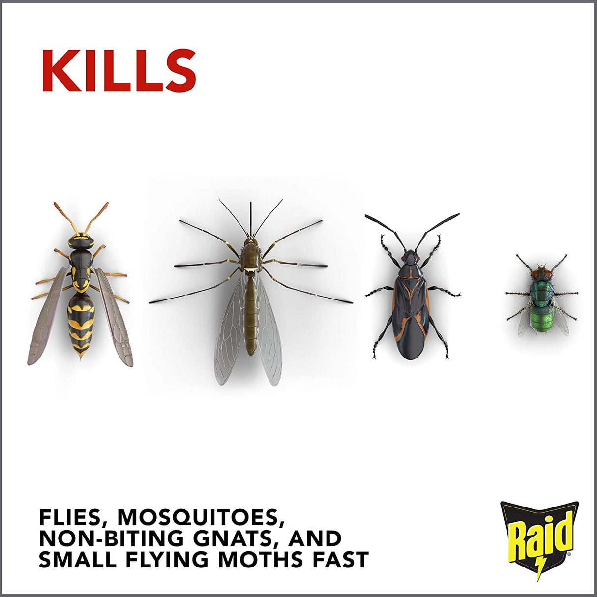Raid Flying Insect Killer 15 Ounce (Pack of 5)