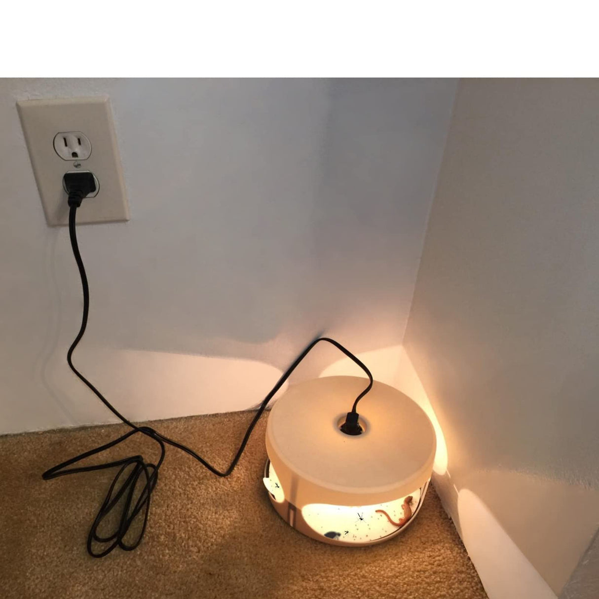 Flea Trap, Sticky Flea Traps for Inside Your Home, Odorless Non-Toxic Natural Flea Killer Trap Pad Bed Bug Trap Light Bulb Pest Control for Home House Inside, Safe for Children Pet Dog Cat(2 Pack)