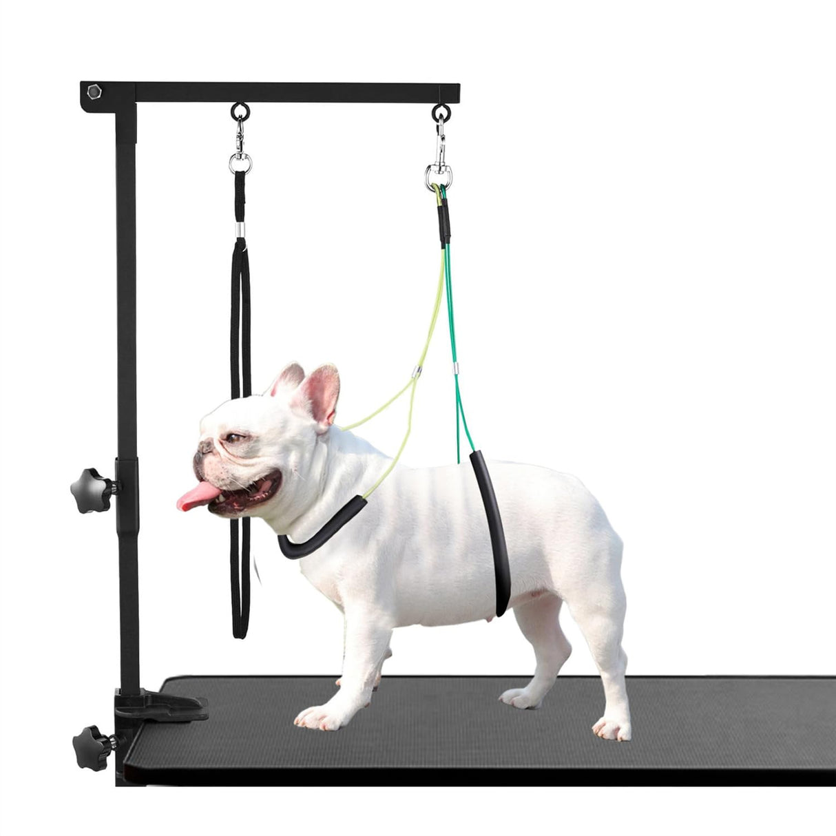 Dog Grooming Table Arm with Metal Clamp,35" Adjustable Portable Arm for Table with 1 Loop Noose & Two No Sit Haunch Holder,Grooming Restraint for Small Medium Pets