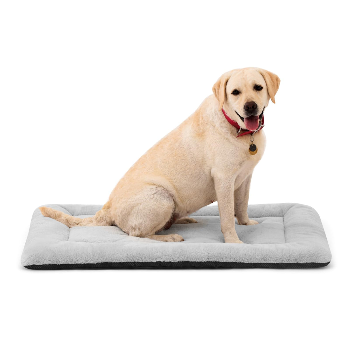 ZENGAOOU Washable Dog Bed for Crate, Ultra Soft Plush Dog Crate Pad for Medium to Large Dogs, Non Slip Cushion for Metal Crates, Indoor or Travel, 36 x 23 Inch, Gray