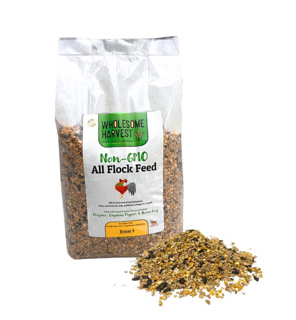 Wholesome Harvest All Flock Feed, High Nutrition for Flocks, Non-GMO Duck, Turkey, Geese and Chicken, Whole Grain 10 lbs Pack