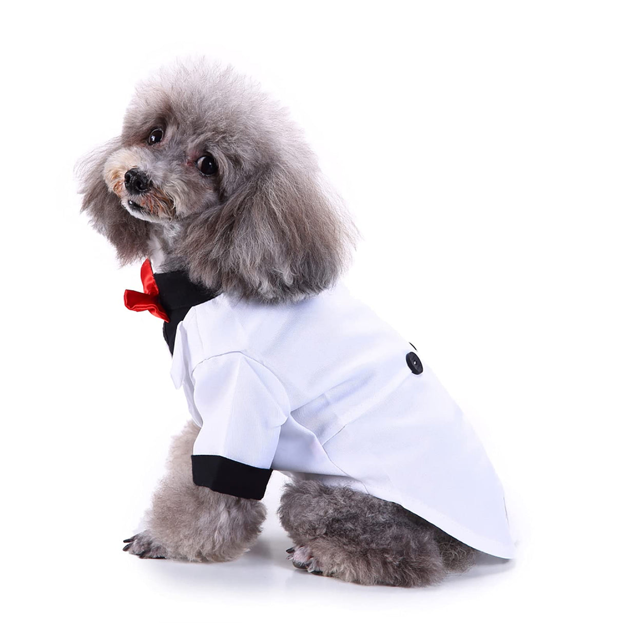 Black, White, Blue Dog Shirts for Wedding, Puppy Tuxedo, Dog Formal Wear, Doggie Tux, Suit and Tie Costume White Small