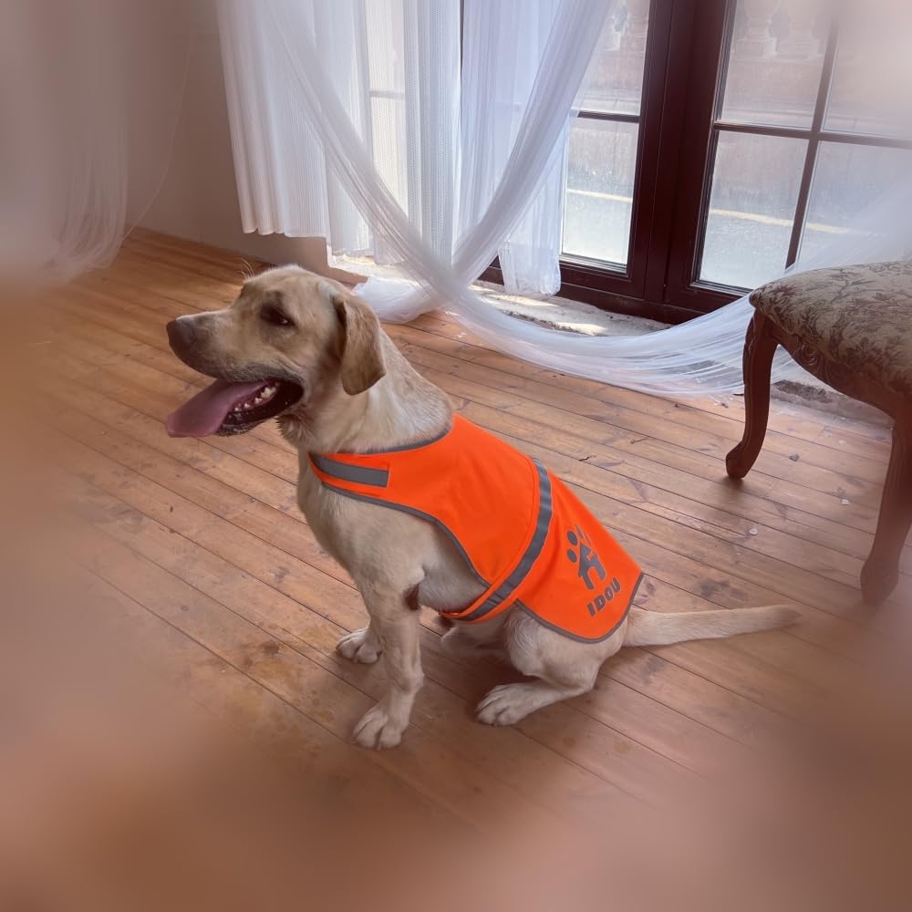 IDOU 2 Pieces Orange Reflective Dog Safety Vest - High Visibility for Walking, Jogging & Training - Size S