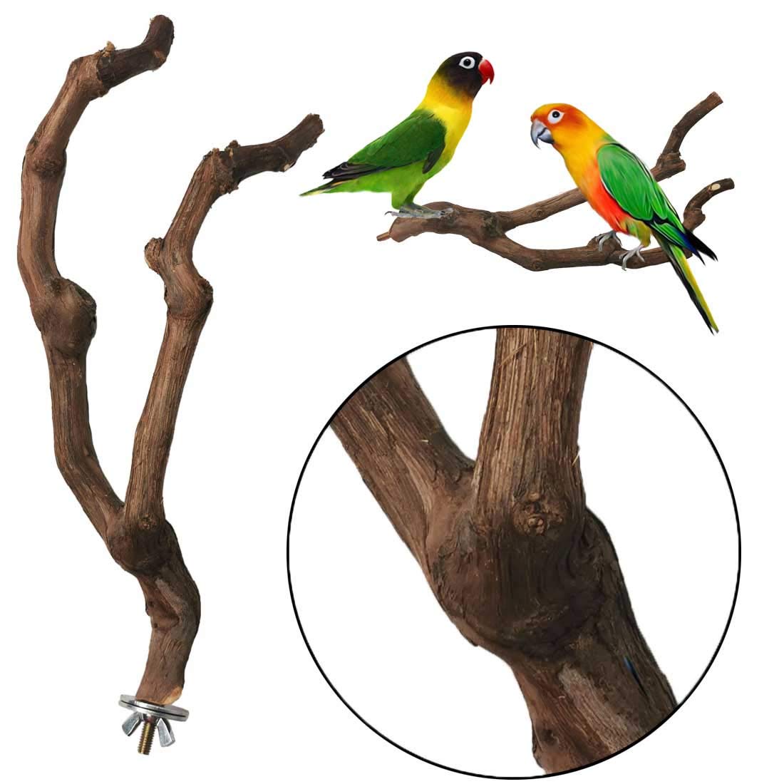 kathson Natural Parrot Perch Bird Stand Pole Wild Grape Stick Paw Grinding Fork Parakeet Climbing Standing Branches Toy Chewable Cage Accessories for Small Budgies Cockatiels Lovebirds 2PCS