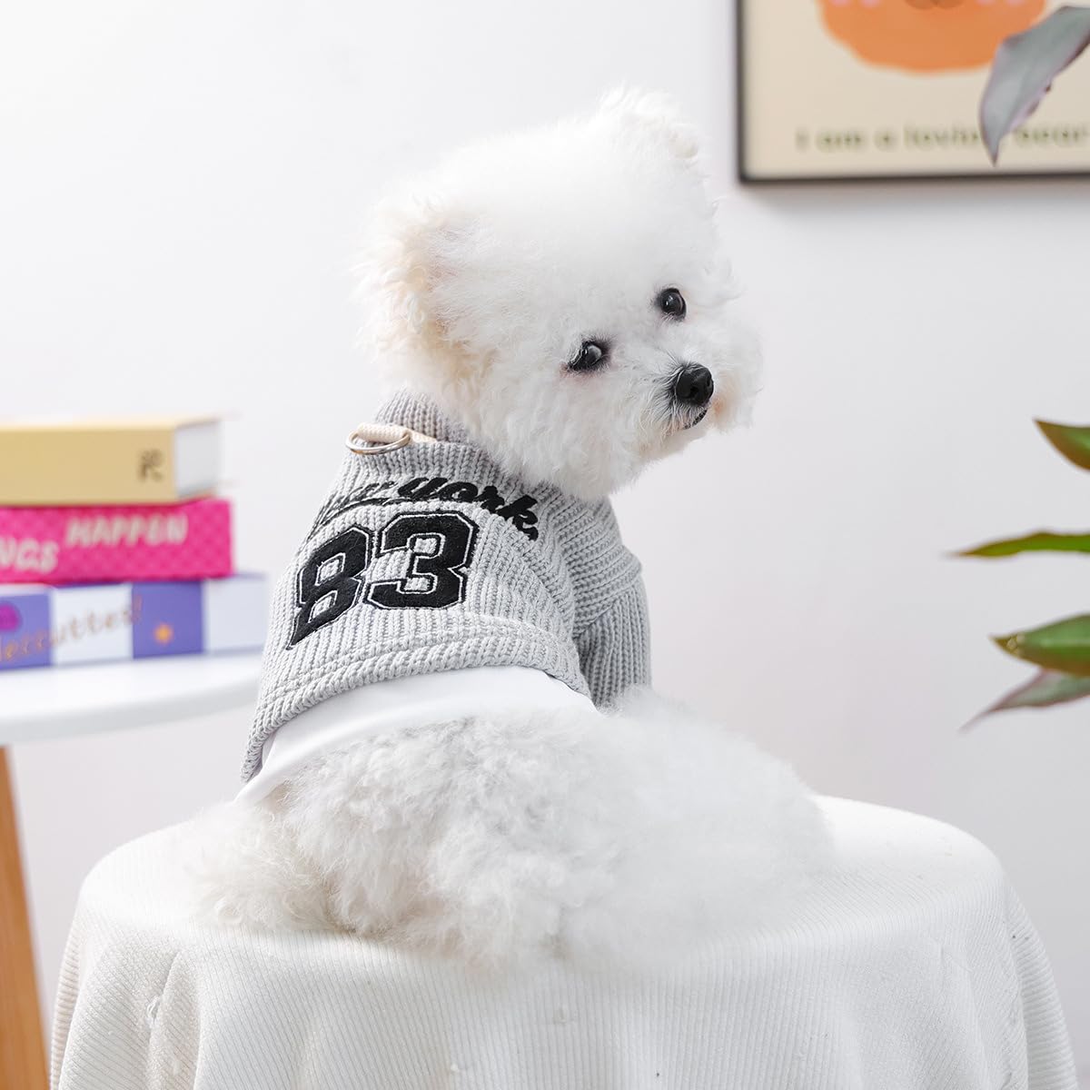 Dog Sweater for Small Dogs Girl Cute Flower Puppy Knitted Sweater Winter Knitwear Small Dog Christmas Clothes Cat Warm Lightweight Pullover Outfits Chihuahua Yorkie Teacup Holiday Birthday Clothes