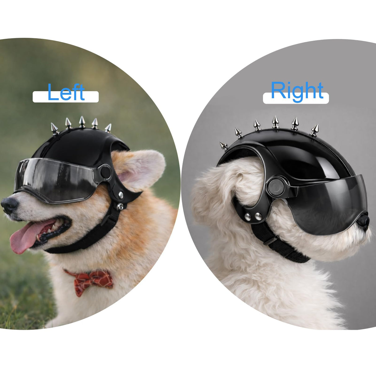 Petmolico Safety Helmets for Dogs,Dog Helmet with Anti-UV Silver Goggles&Ear Holes&Adjustable Strap,Comfortable&Protective Goggles Helmet for Small Animals for Outdoor Driving/Riding/Hiking/Biking