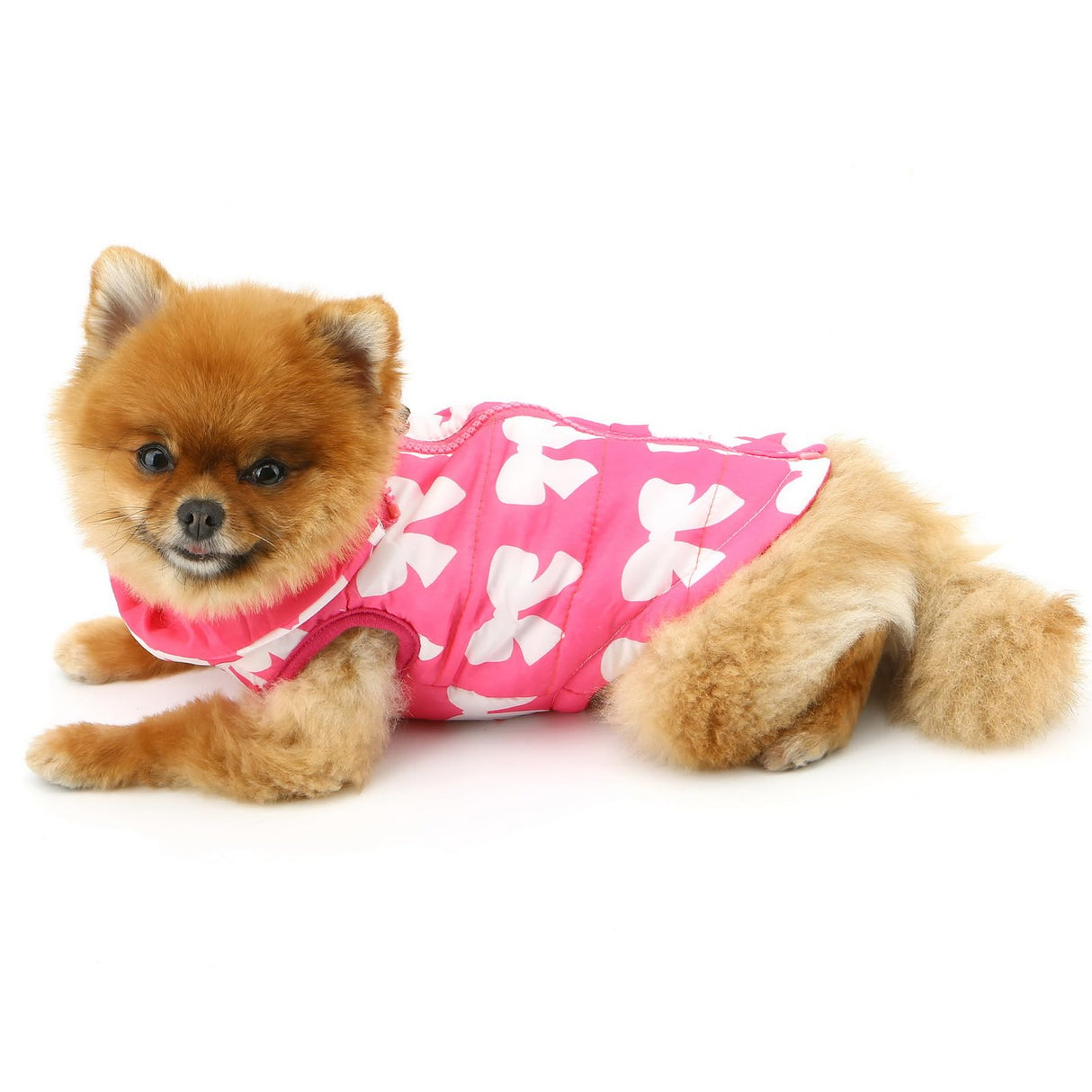 SMALLLEE_LUCKY_STORE Pet Water Resistant Winter Jacket Vest with D-Ring for Small Dog Cat Zip-up Padded Puppy Coat Chihuahua Yorkie Kitten Warm Clothes, Hot-Pink, XL
