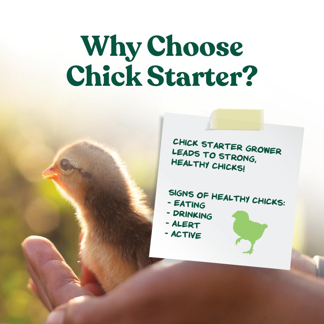 Manna Pro Medicated Chick Starter Grower, Crumbled Chick Feed with Amprolium, Complete Nutrition for Young Chickens, Supports Healthy Growth and Coccidiosis Prevention, 6-Pack of 5 lb Bags