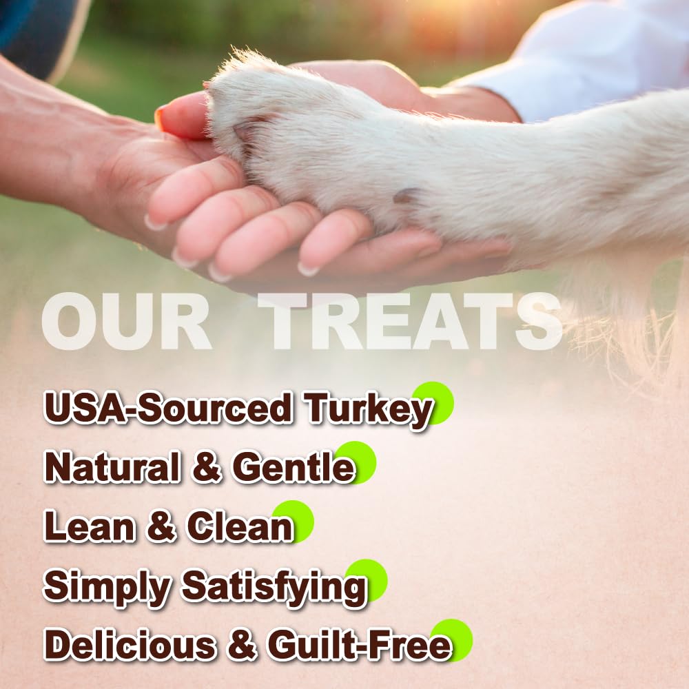A Freschi srl Turkey Tendons for Dogs, Healthy Dog Treats, Rawhide-Free Puppy Chews, All Natural, Hypoallergenic Dog Treats, USA-Sourced Dog Snack, Dog Biscuit, Braided Sticks, 3.5 oz Pack