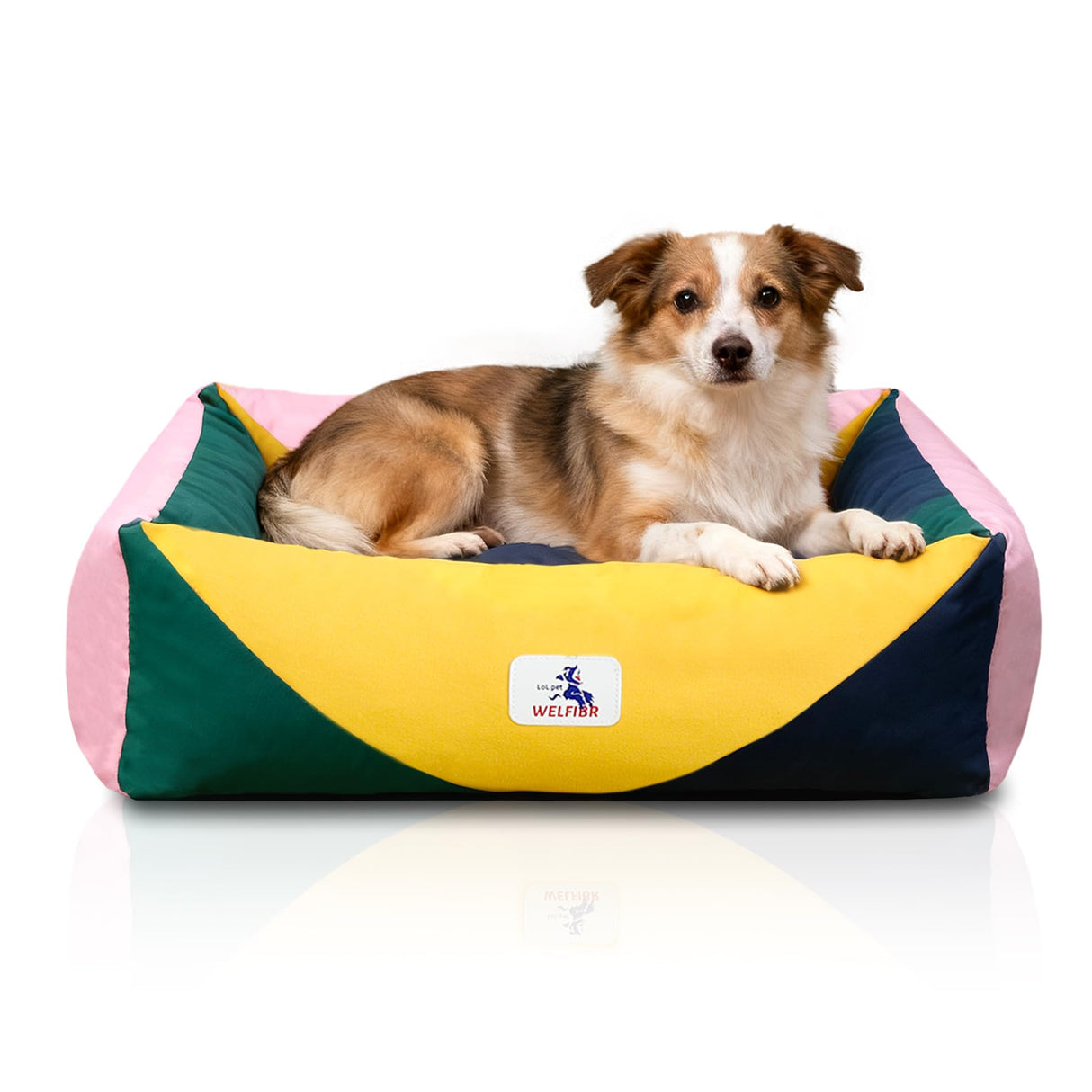 Welfibr 290 GSM Cotton Canvas Dog Couch Bed, Washable Removable Cover, Tough Bolster with Supportive Chopped Foam, Anti-Slip Bottom (Medium)