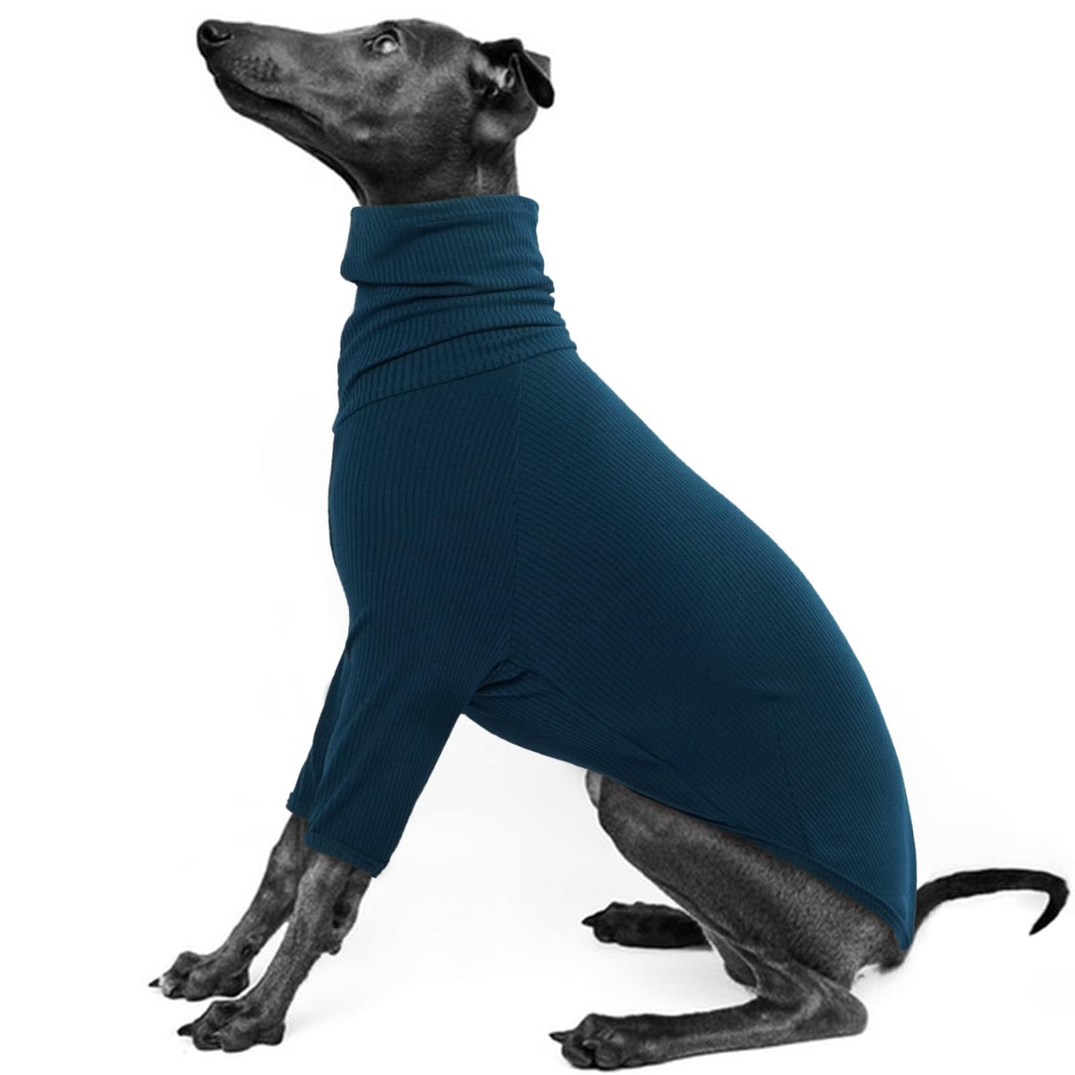 IECOii Greyhound Sweater, Cozy Italian Greyhound Jumpsuit, Pullover Dog Sweater for Small Dogs, Turtleneck Whippet Onesie Clothes for Spring Fall Outfits, Extra Soft Whippet T Shirts with Sleeves, XS