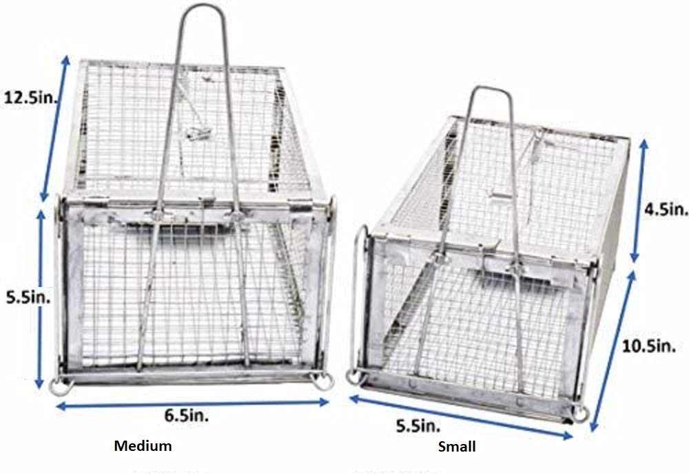 AB Traps Quality Live Animal Humane Trap Catch and Release Rats Mouse Mice Rodents Cage - Voles Squirrel and Similar Sized Pets Safe and Effective | Size Small