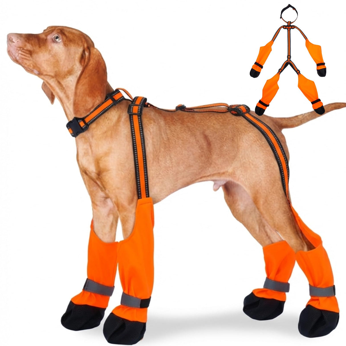 SeranPup M Orange Stay-On Suspender Dog Boots | Anti-Slip Waterproof | Adjustable Dog Shoes Paw Protector for Medium Dogs Outdoor Walking Hiking