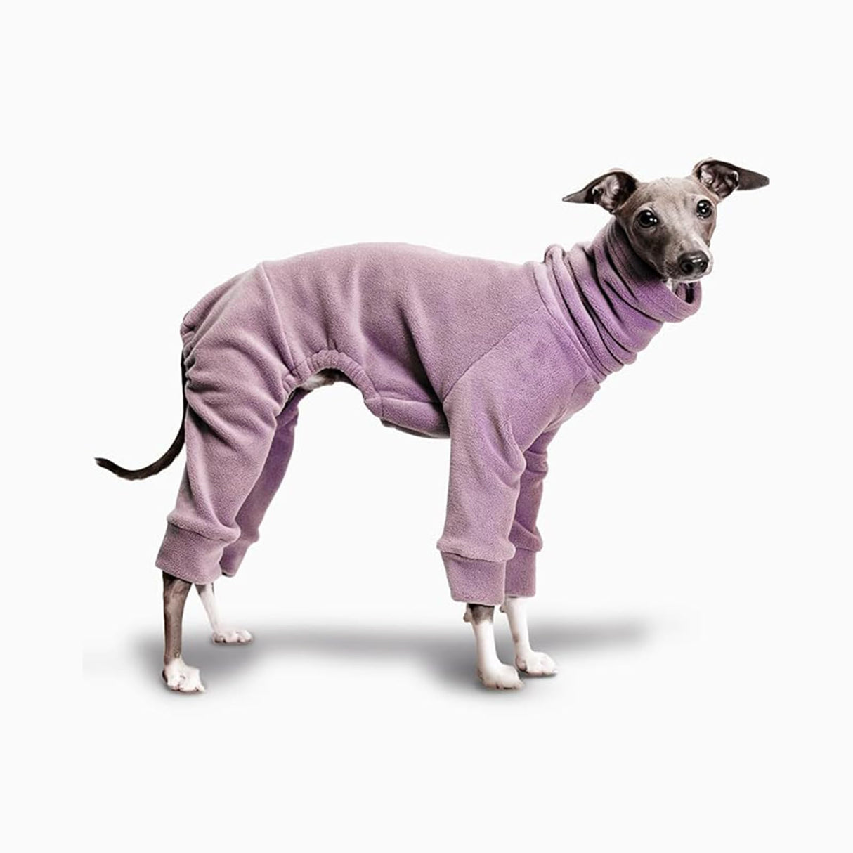 UOSIA Italian Greyhound Onesie Jumpsuit Clothes,Winter Warm Soft Fleece Four-Legged Turtleneck Whippet Thermal Pajamas Full Body Pet Pullover Coats Clothing for Medium Large Dogs