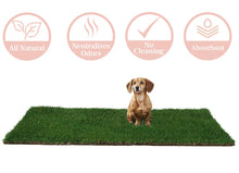 Load image into Gallery viewer, DoggieLawn Dog Potty - Real Grass - XLarge 24x48 inches