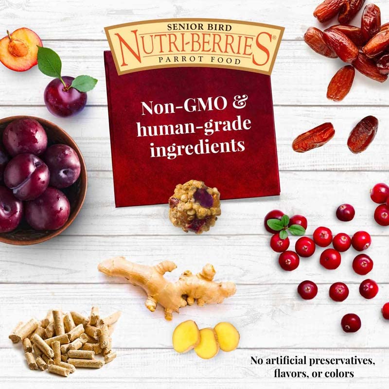 LAFEBER'S Senior Bird Nutri-Berries Pet Bird Food, Made with Non-GMO and Human-Grade Ingredients for Parrots (10 oz Pack of 2)