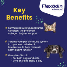 Load image into Gallery viewer, Vetoquinol Flexadin Advanced Dog Hip and Joint Supplement with Undenatured Collagen, One Chew a Day Hip and Joint Support Chew for Dogs and Cats, Clinically Proven Vet-Approved Formula, 30 Chews