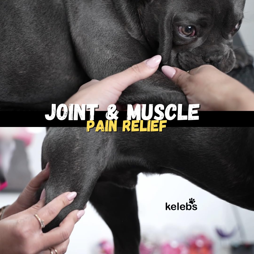 KELEBS Dog Arnica Massage Oil | Pain Relief for Muscles, Arthritis, HIPS, and Joints | for Active & Senior Dogs | Organic Arnica-Infused Oil Blend – Only 5 Ingredients | Glass Bottle