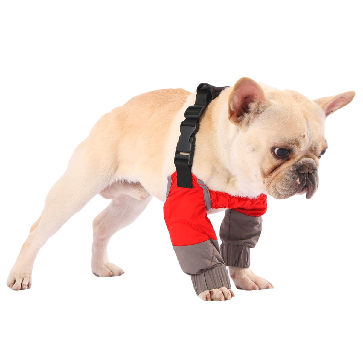 PetWarm Dog Front Leg Sleeves, Waterproof, Recovery Elbow and Knee Protector, All Season Dog Leg Sleeve for Small Dogs, Post Surgery Protection, Grey, S