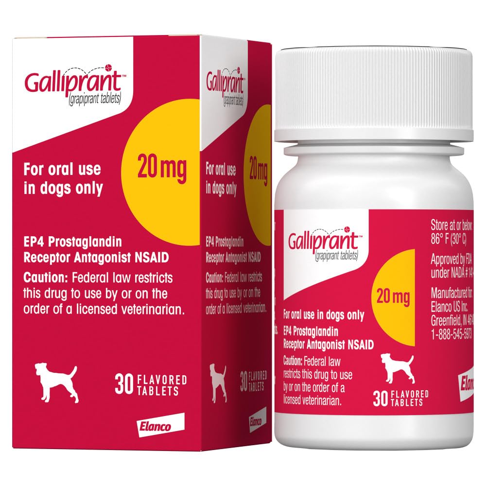 Galliprant Osteoarthritis Pain & Inflammation Control for Dogs | 20mg | 30 Flavored Tablets