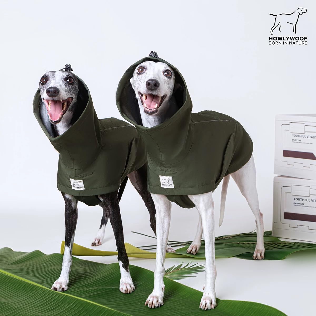 HowlyWoof Waterproof Dog Raincoat, Hooded Raincoat for Dachshund Whippet Small Medium Large Dogs, Adjustable Dog Rain Coat Jacket (05(chest21-23'', back17-19.5''))